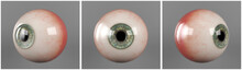 Realistic Human Eyeballs Blue Iris Pupil In Three Different Sides