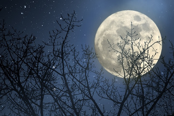 full moon night