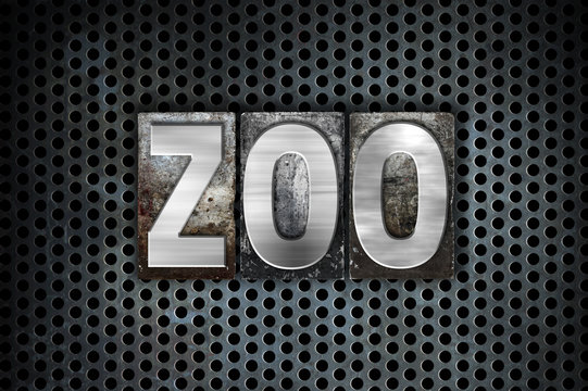 Zoo Concept Metal Letterpress Type