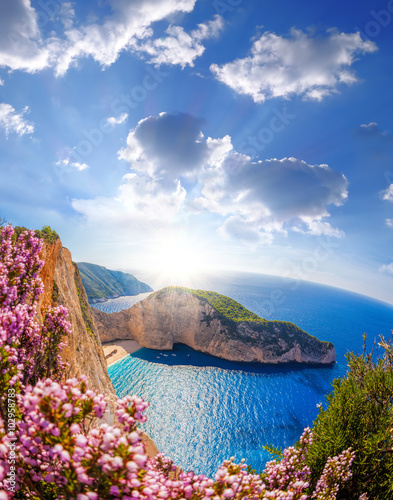 Obraz w ramie Navagio beach with shipwreck and flowers against sunset, Zakynthos island, Greece