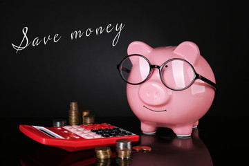 Poster - Piggy bank in glasses with calculator and books on dark background