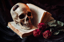 Gothic Still Life With Skull