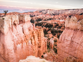 Wall Mural - bryce canyon