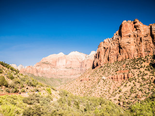 Wall Mural - zion national park, utah, usa