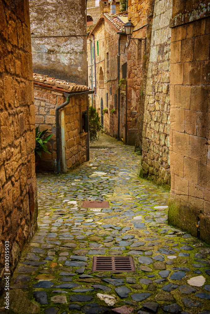 Narrow street of medieval ancient tuff city Sorano with green plants and cobblestone, travel Italy background - obrazy, fototapety, plakaty 