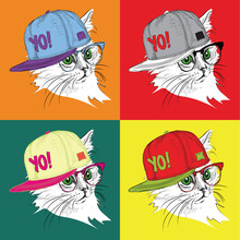 Portrait Of Cat In The Glasses And In Hip-hop Hat. Pop Art Style Vector Illustration.
