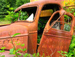 Old Truck - A rusty moving truck provides a home for the bushes and ferns that are slowly taking it over. Kestner Homestead, Olympic National Park