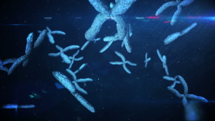Poster - Animation of moving chromosomes