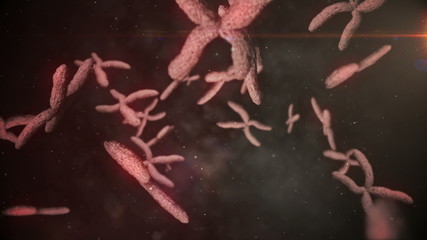 Poster - Animation of moving chromosomes