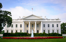 White House Free Stock Photo - Public Domain Pictures