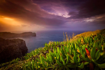 sao miguel coastline