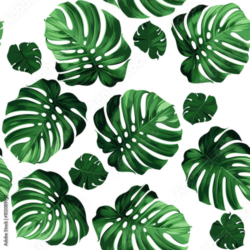 Stoffe zum Nähen Blätter Monstera Hintergrund