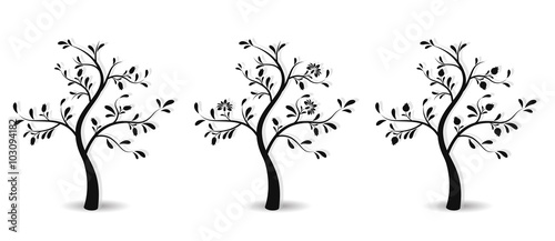 Pomegranate Tree In Three States With Buds Flowers And Fruits Stock Vector Adobe Stock