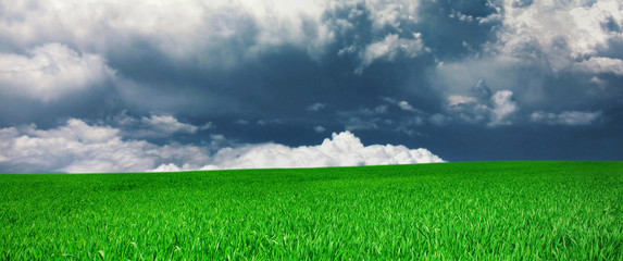 Panorama of a meadow and cloud