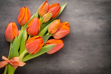 Tulips, Orange On The Grey  Background.