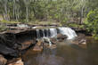 © DiegoCalvi - Cascada grande con abundante agua en el medio de una foresta. Cooktown, Queensland, Australia