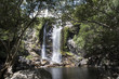 © DiegoCalvi - Cascada grande con abundante agua en el medio de una foresta. Cooktown, Queensland, Australia