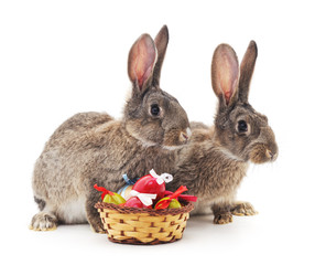 Canvas Print - Easter basket and rabbits.