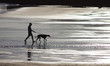 силуэт человека с собакой на фоне морского отлива