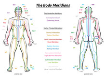 Meridian System Chart - Male Body With Principal And Centerline Acupuncture Meridians - Anterior And Posterior View - Traditional Chinese Medicine - Isolated Vector Illustration On White Background.