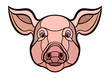 Pig head mascot