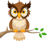 Fototapeta  - Cartoon owl sitting on tree branch