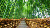 Fototapeta Bambus - Path to bamboo forest, Arashiyama, Kyoto, Japan