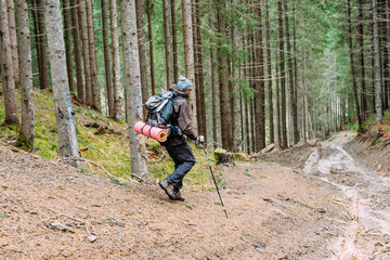 Wall Mural - caucasian male hiking in mountains