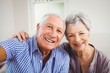 © WavebreakmediaMicro - Portrait of senior couple smiling