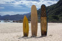 Surfboards Standing Upright In Bright Sun On The Beach, Brazil
