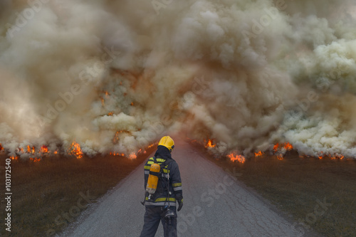 Fotomural Firefighter trying to prevent the spread of natural disaster