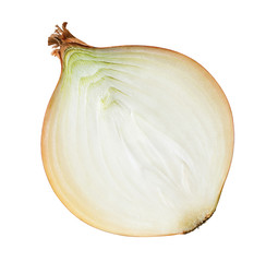 Half cut common onion bulb 2 isolated on white