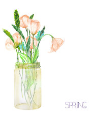 An Image, Illustration Of A Bouquet Of The Wildflowers (tender Pink Spring Flowers And Spikelets) In A Glass Jar, Painted In A Watercolor On A White Background