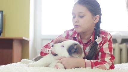 Wall Mural - kid hugging a puppy Shepherd, slow motion