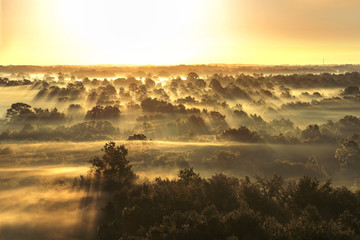  Aerial sunrise or sunset with fog or mist at the treetops in the rural countryside looking moody dramatic beautiful meditative relaxing tranquil peaceful 