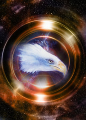 Poster - eagle in cosmic space and light circle. original painting collage.  Animal concept, Profile portrait. Sepia and light Golden color.