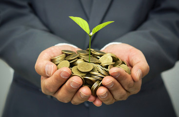 Wall Mural - hands of business man holding a tree growing on golden coins - business investment with csr practice