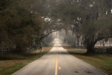 Straight Empty Lonely Country Road Street Less Traveled In Florida And Trees With Spanish Moss Overhanging On A Cloudy Foggy Day Looking Grim Sad Isolated Moody