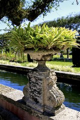 Wall Mural - Vizcaya Museum and Gardens