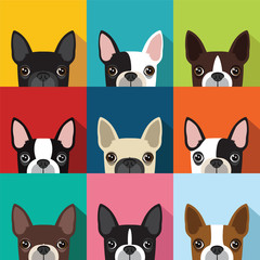 Boston Terrier Pattern [Converted]