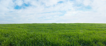 Panoramic View Of A Green Field With Grass