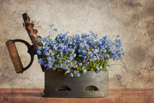 Old Cast-iron With Blue Flowers