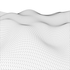 Poster - Abstract wire-frame grid. Vector illustration.