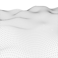 Poster - Abstract wire-frame grid. Vector illustration.