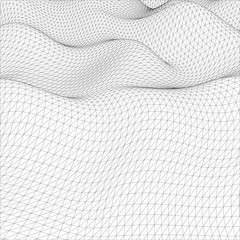 Poster - Abstract wire-frame grid. Vector illustration.