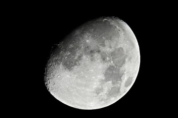 Wall Mural - moon detailed closeup