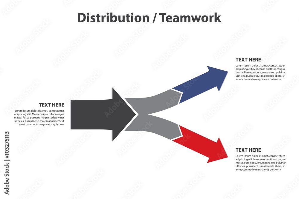 Distribution / Teamwork - 2 Diverging Arrows, Isolated on White ...