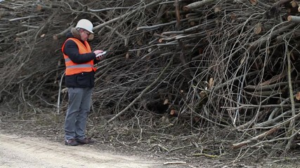 Sticker - Forest inspector using tablet PC near to to pile sawed bush
