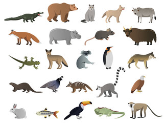 Wall Mural - Vector image of wild animals