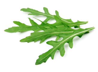 Poster - Arugula leaves